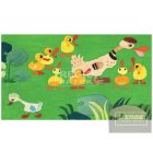 A rút kiskacsa diafilm 34101779