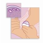 Avent SCF157/02 Anyatejgyűjtő kagyló szett - 2 pár