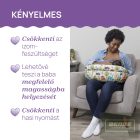 Chicco Boppy Deluxe szoptatós párna-formatartó töltettel -Fish Fun